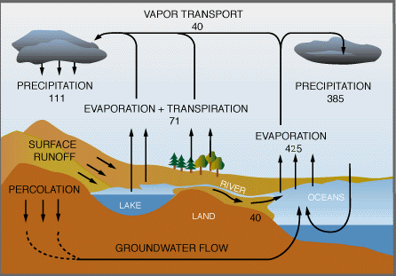 Image of Global Water Cycle